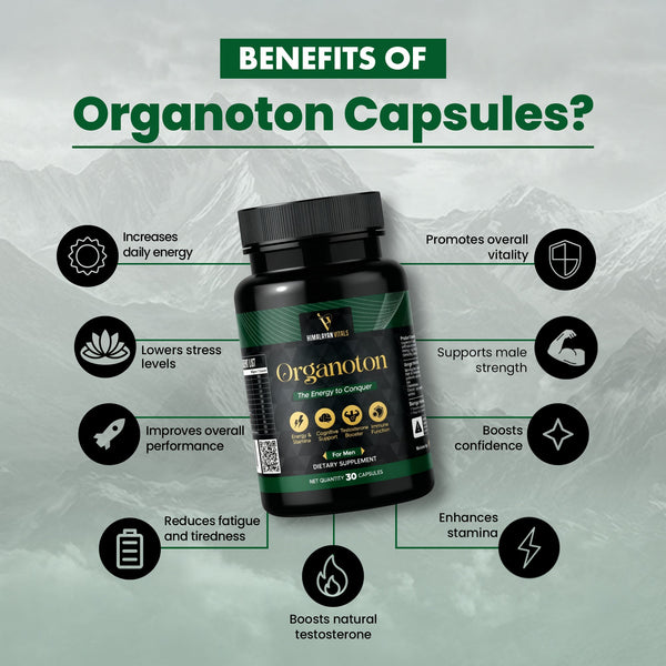 Organotan, Shilajit Multivitamin Capsules for men, 60 serving